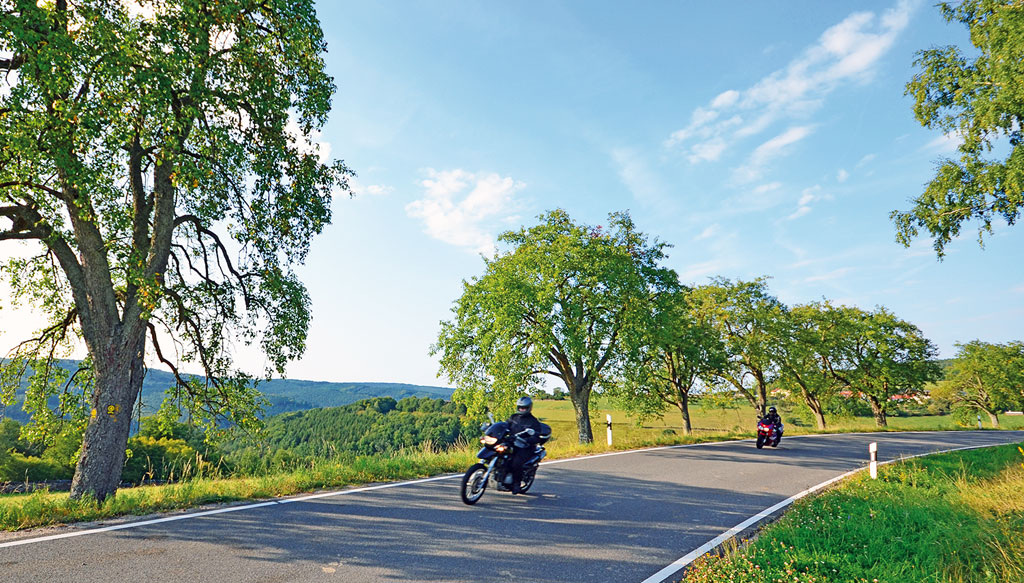 Die Hirschhorner Höhe bietet Fahrspaß satt