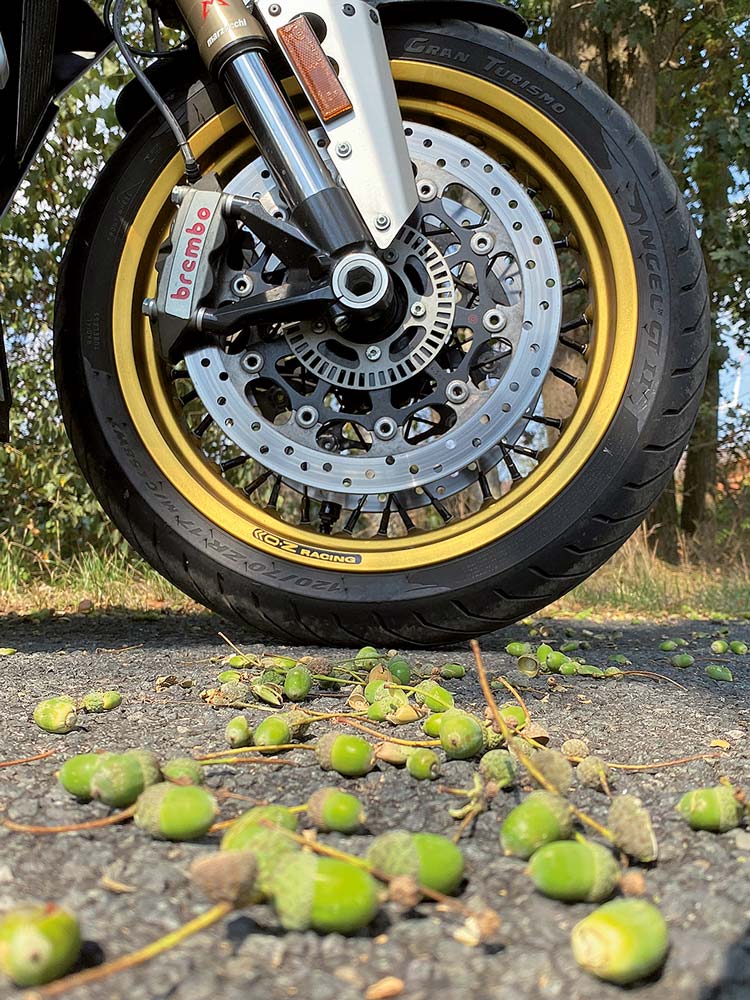 Gefährlich - Eicheln sind wie Rollsplitt