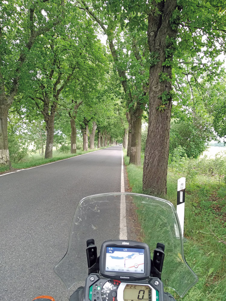 Alleen in Ostdeutschland Alleen in Ostdeutschland