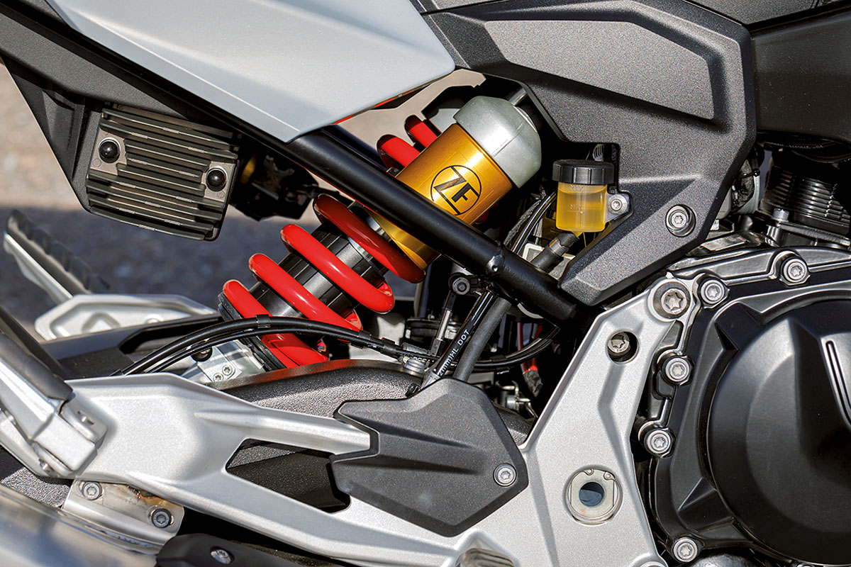 Optional ESA-Federbein, BMW F 900 R Roadster - Modell 2020 Optional ESA-Federbein, BMW F 900 R Roadster - Modell 2020