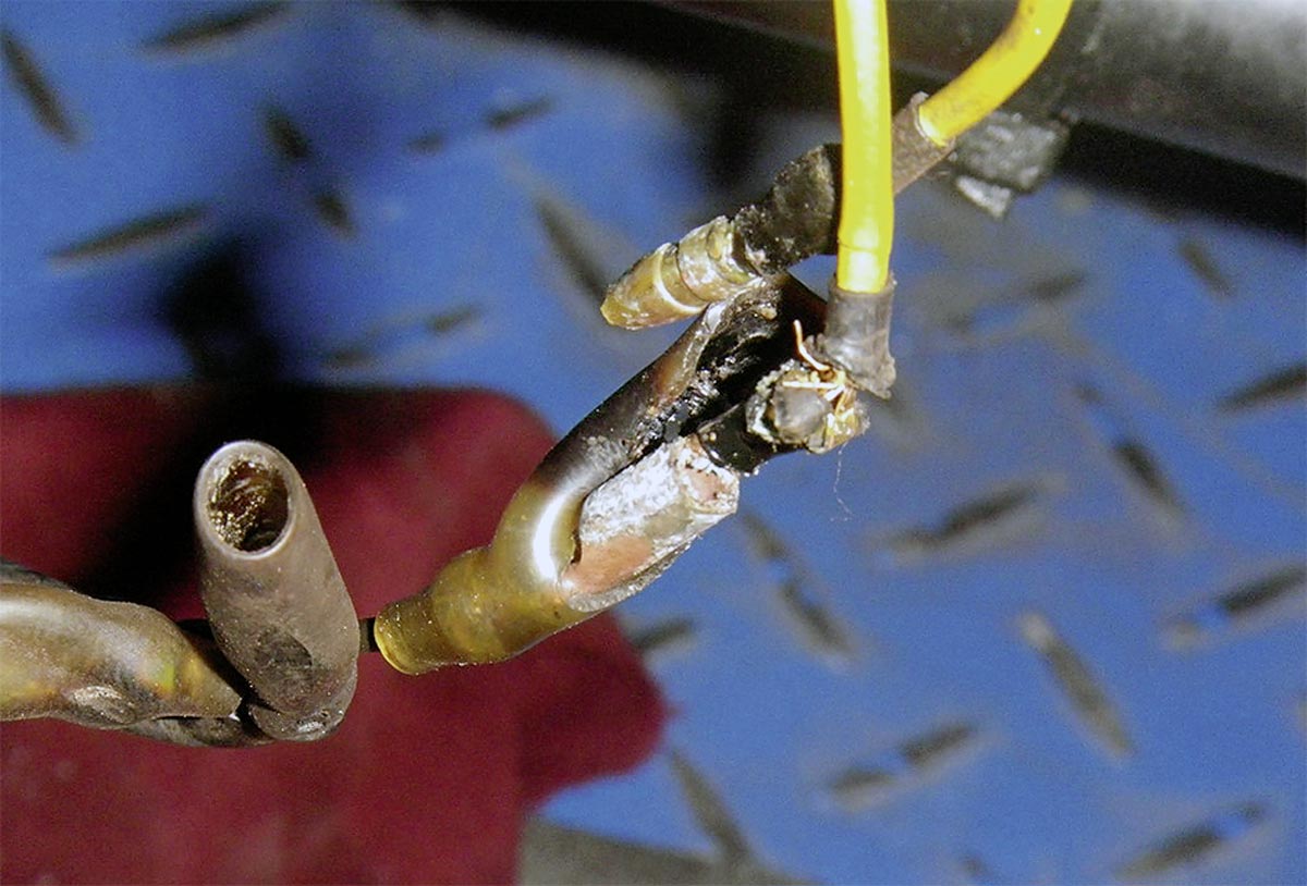 Kupferwurm in den Kabeln