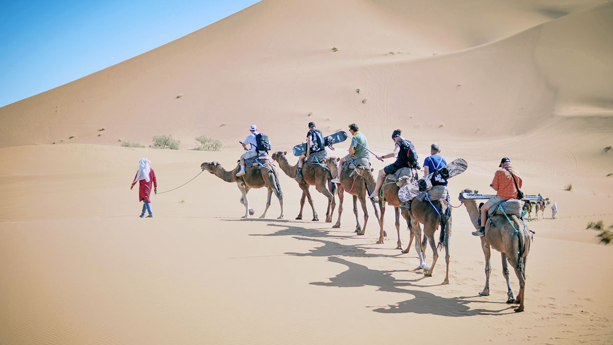 Abwechslung - Surfboarden in den Dünen Abwechslung - Surfboarden in den Dünen