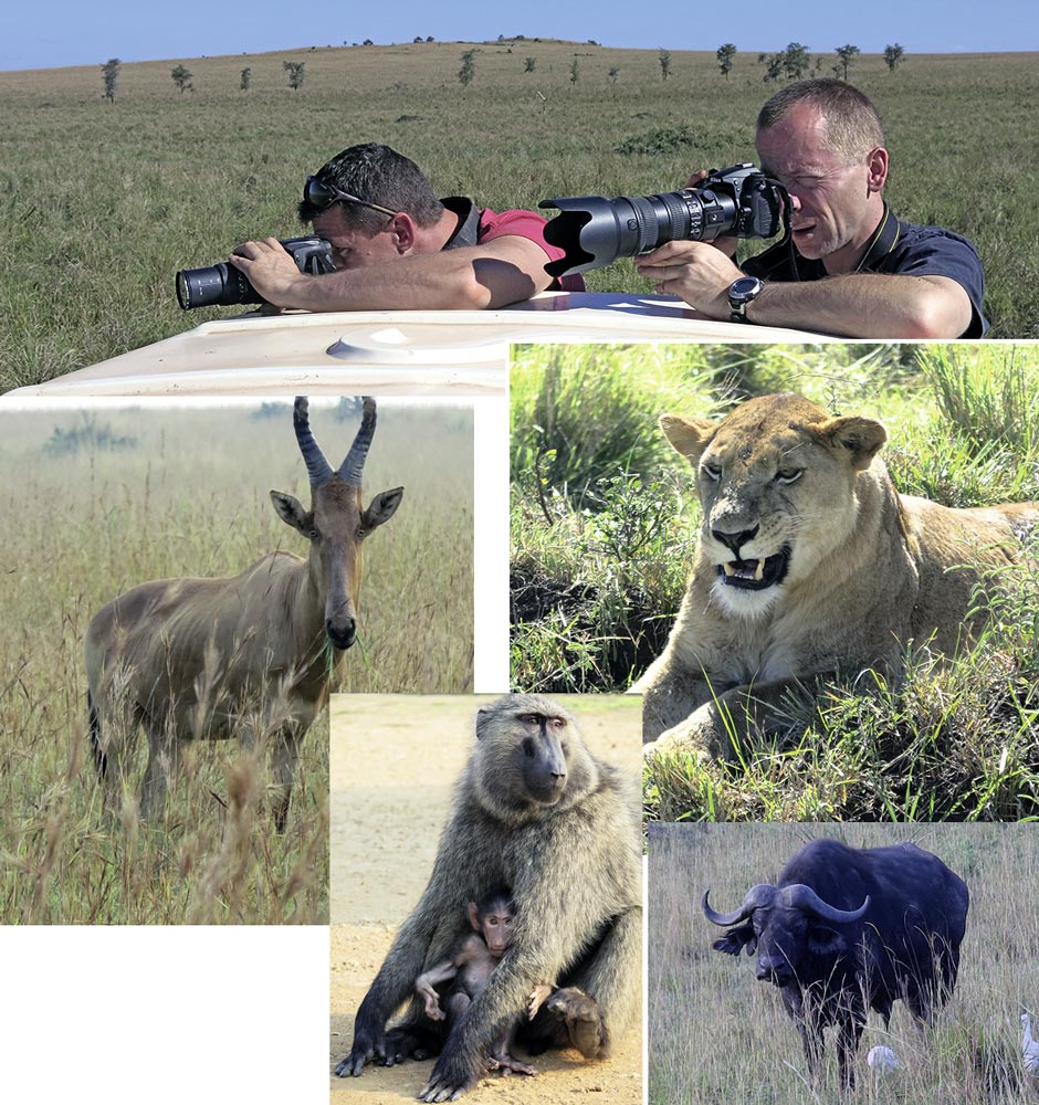 Auf Fotosafari mit dem Begleitfahrzeug 