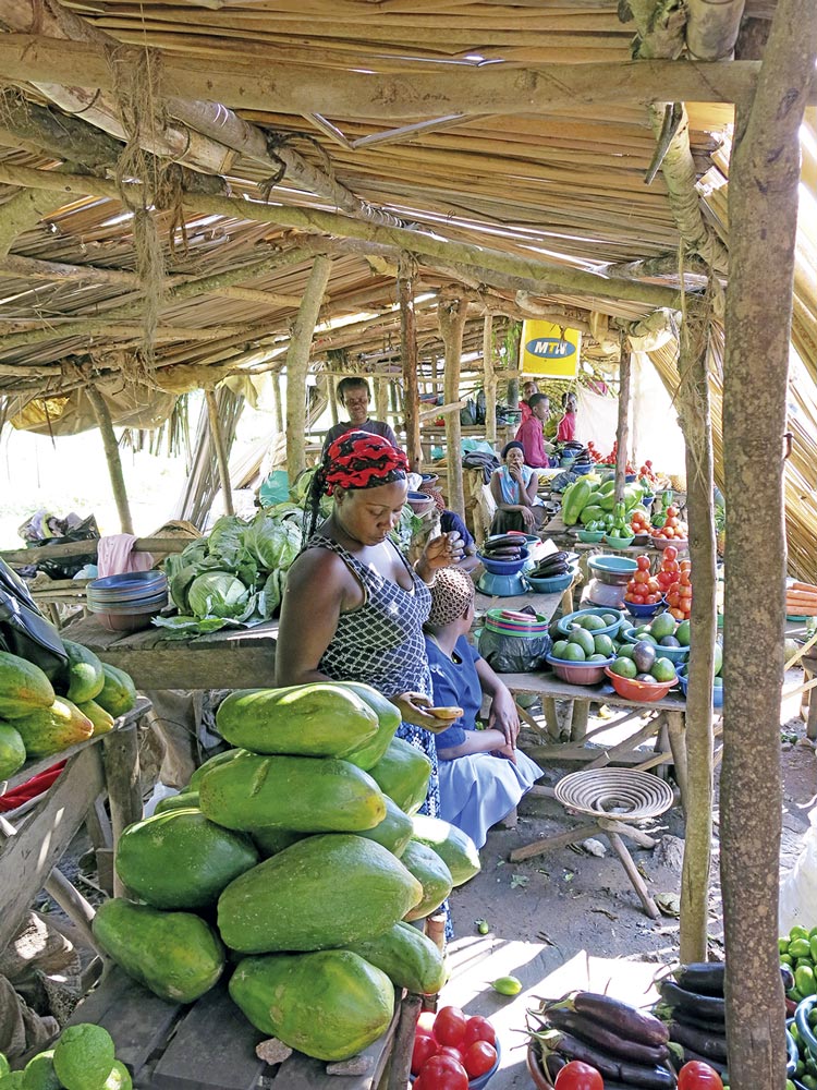 Frisches Obst und Gemüse auf dem Markt