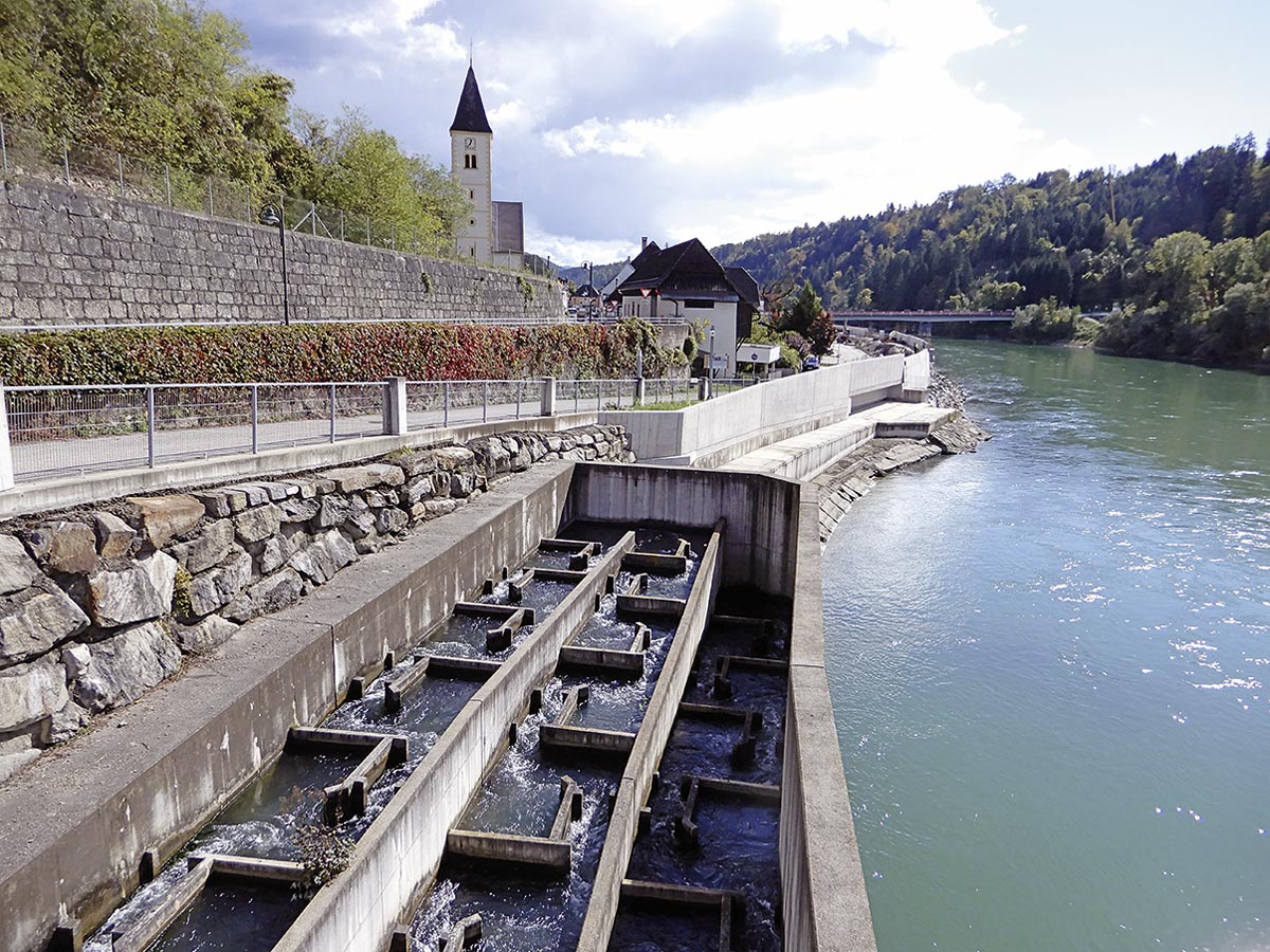 Fischtreppe in Lavamünd