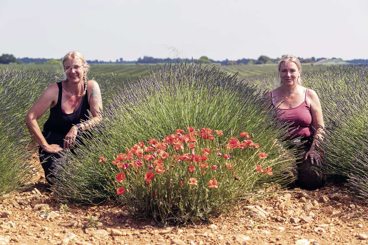 Lavendel und Mohn, nicht nur dabei geht das Herz in Südfrankreich auf …
