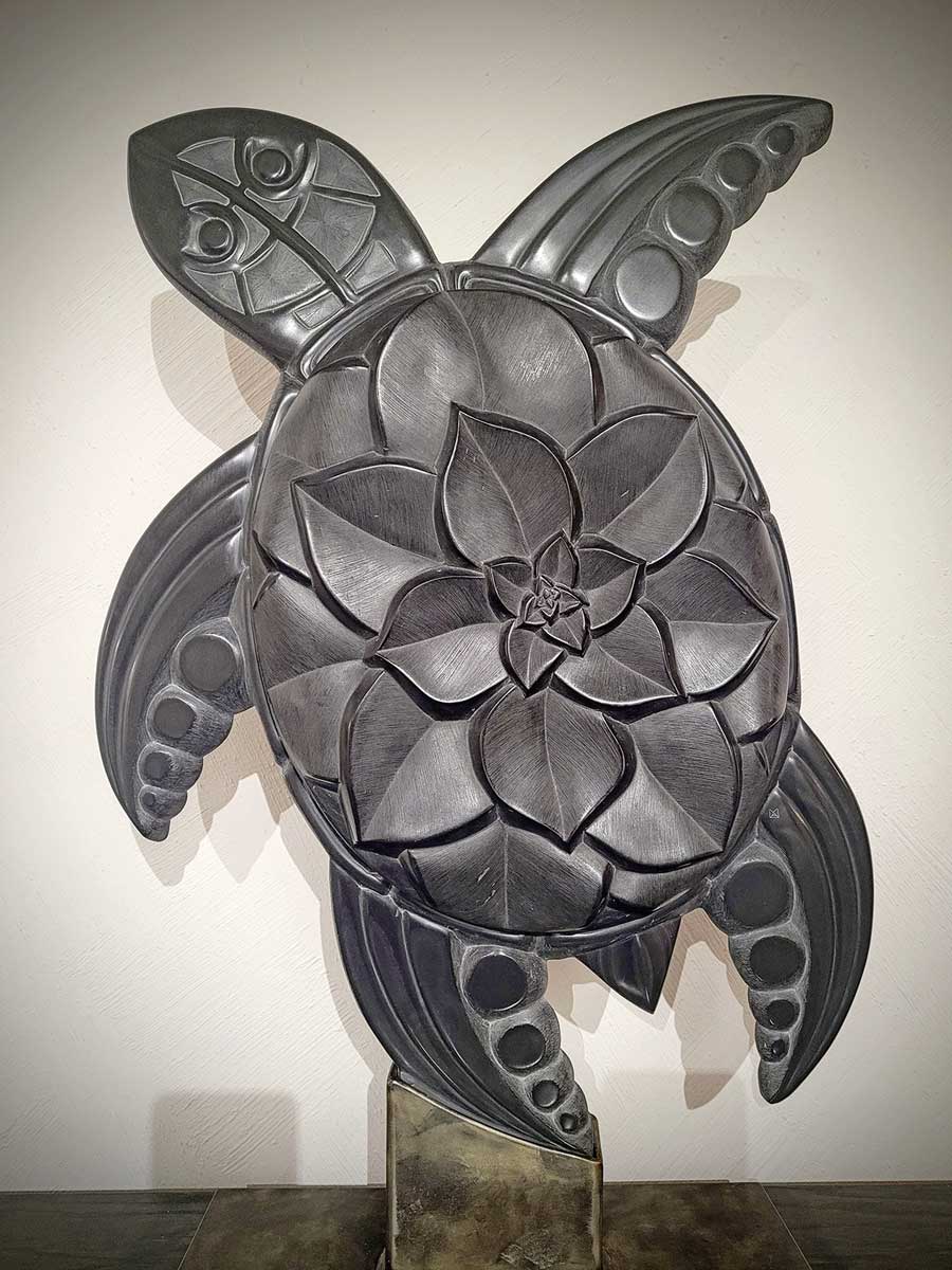 Eine Schiefer-Schildkröte von ELSA