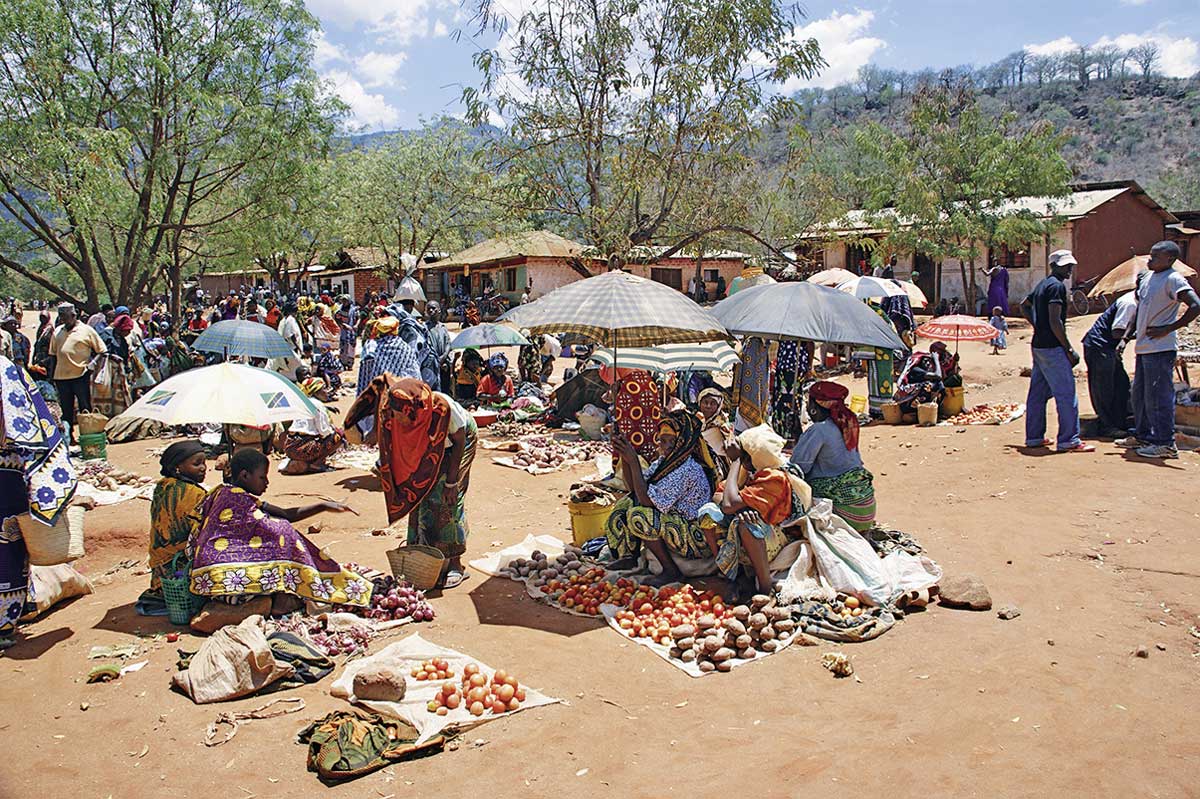 Markttag - es gibt viel zu Entdecken