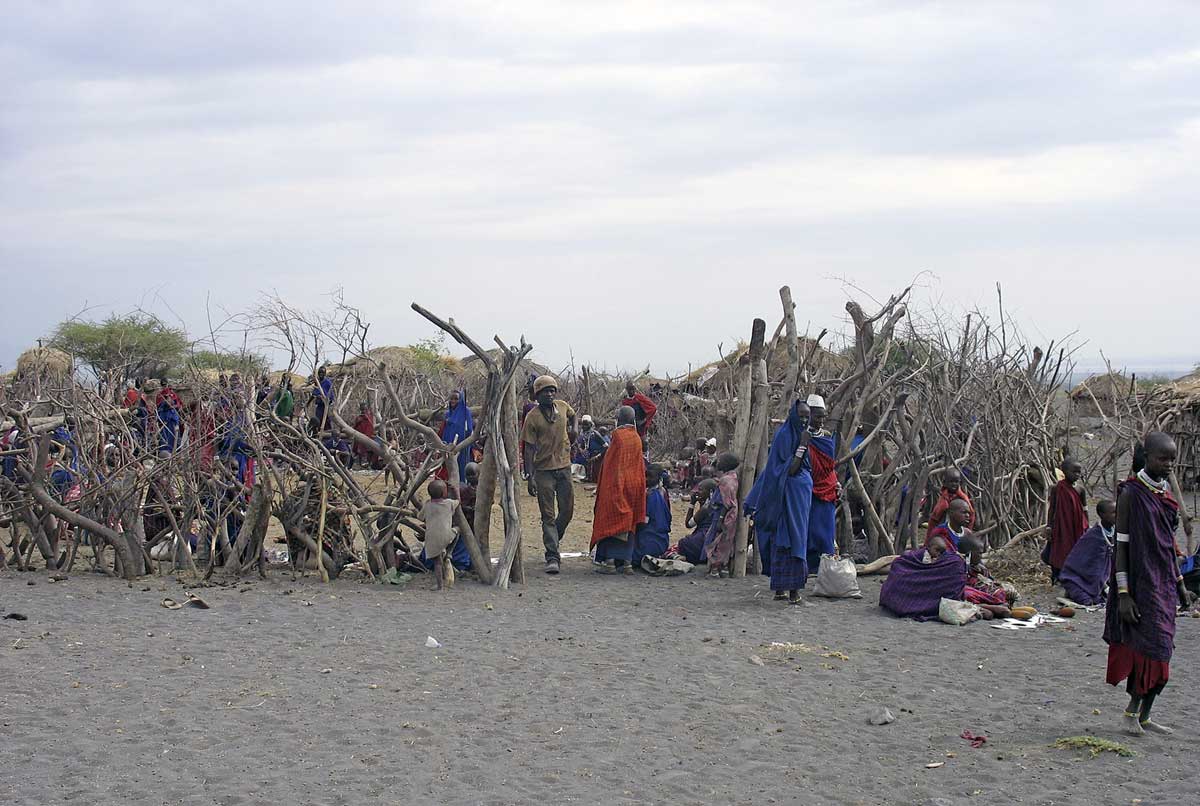 Den Kraal umgibt ein Schutzzaun gegen wilde Tiere
