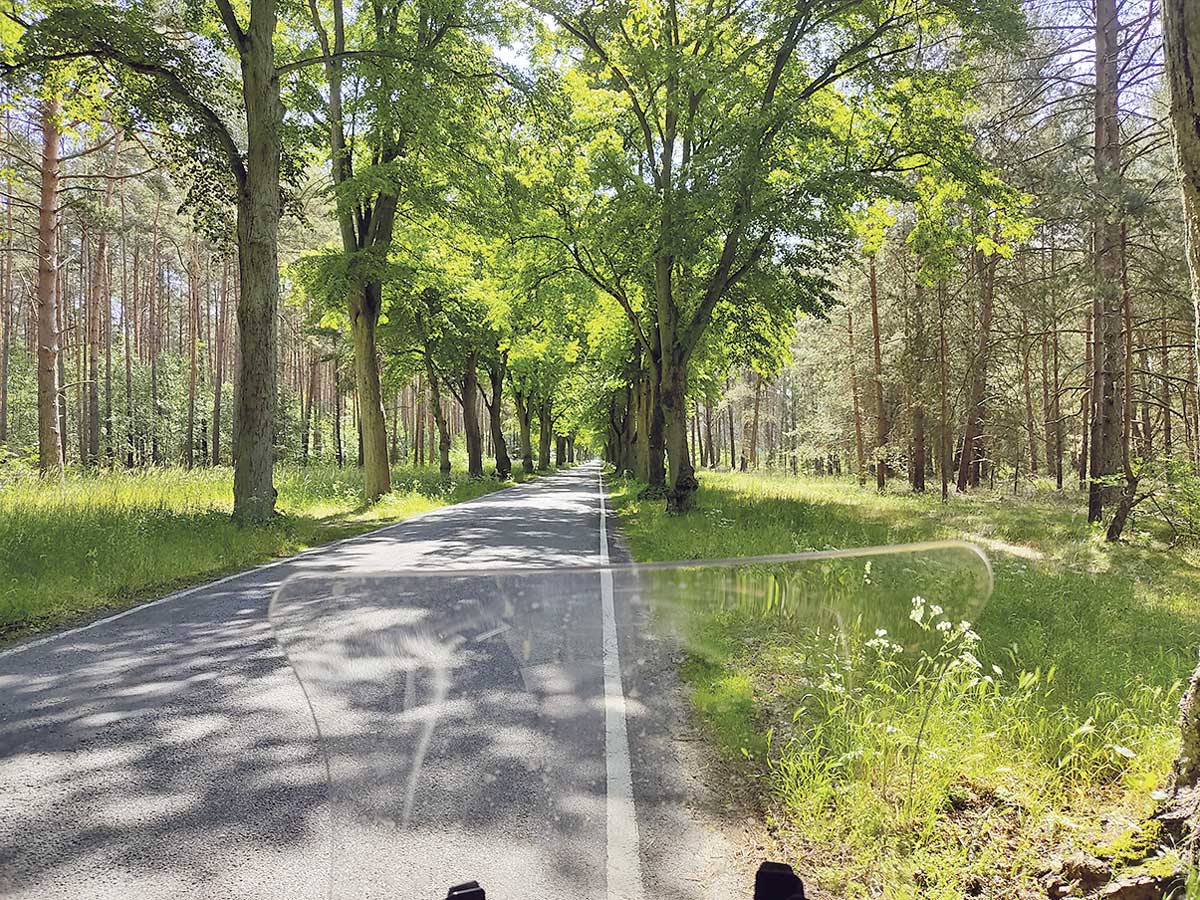 Schöne Alleen und Kiefernwälder