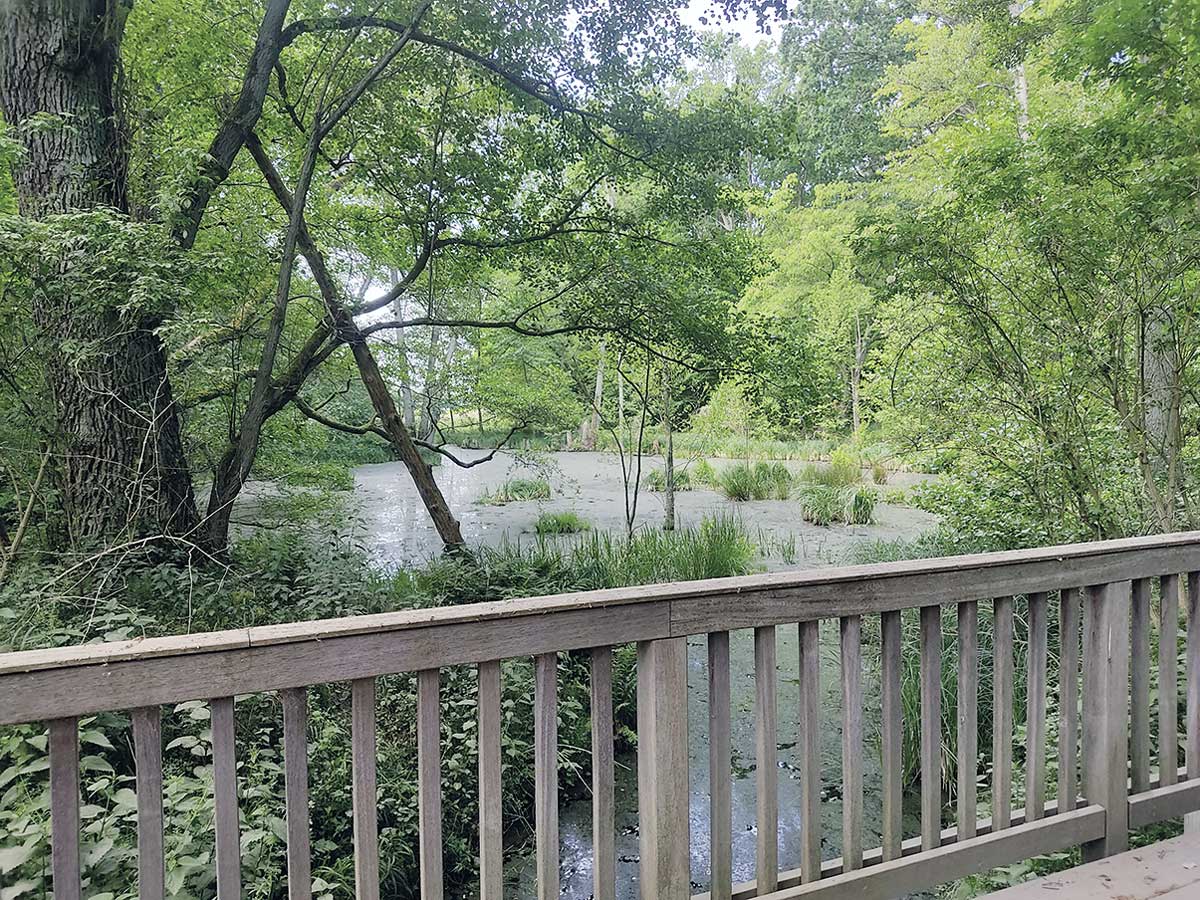 Besuch beim Plagefenn