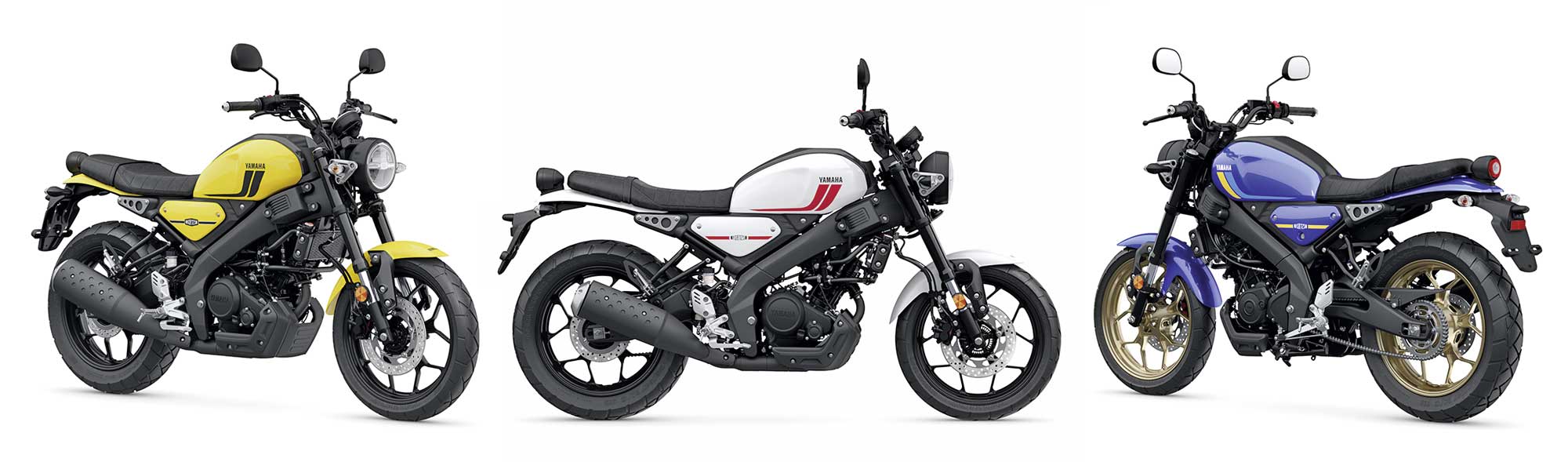 Standart-XSR: bunter, Gussräder und 500 € günstiger als die Legacy