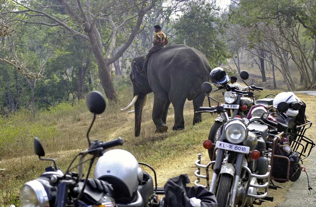 Begegnung im Indira Ghandi Wildlife Sanctuary
