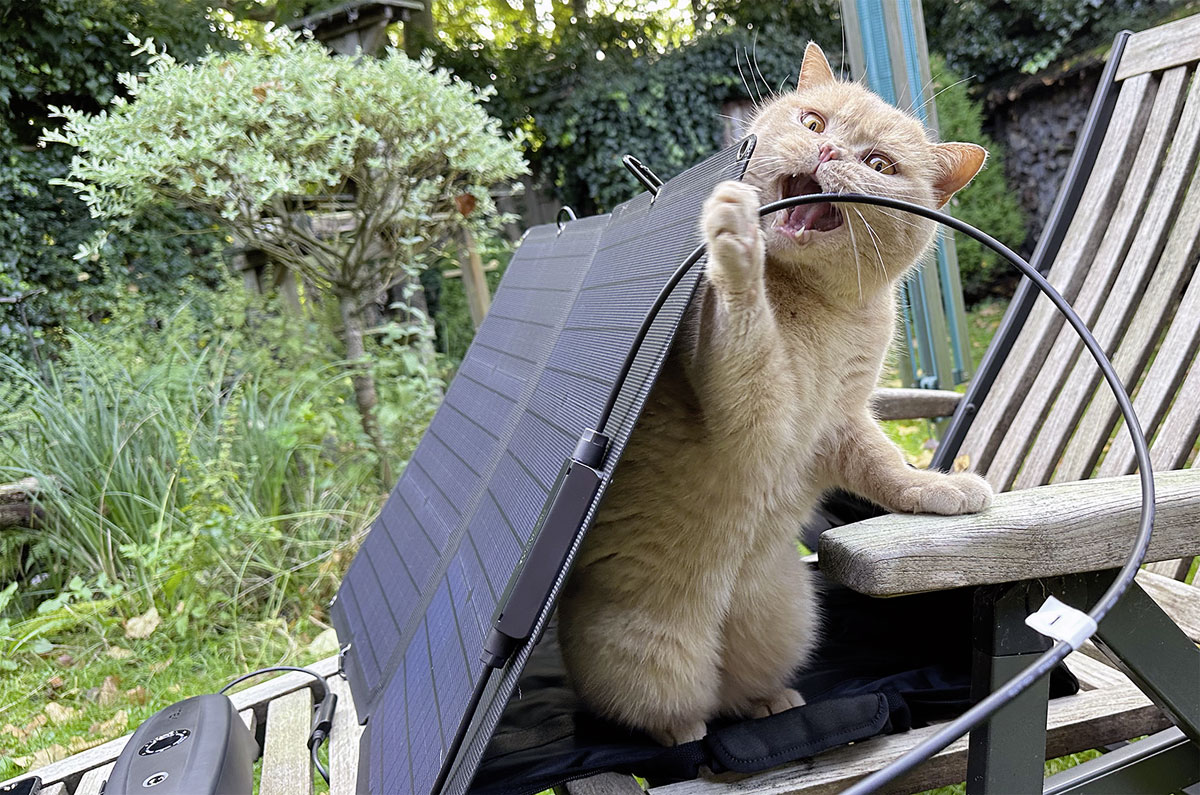 Kabel-Test durch CTO Dobby