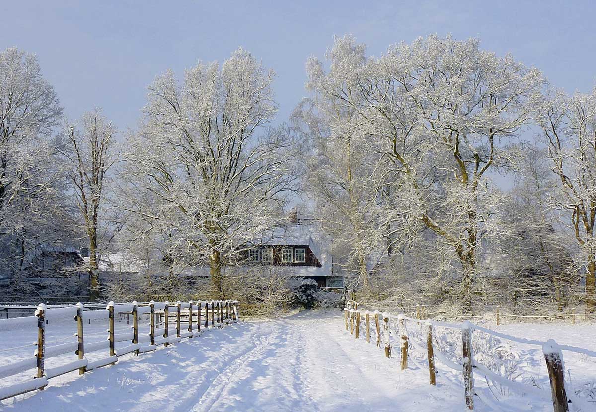 Kradblatt Redaktion im Winter