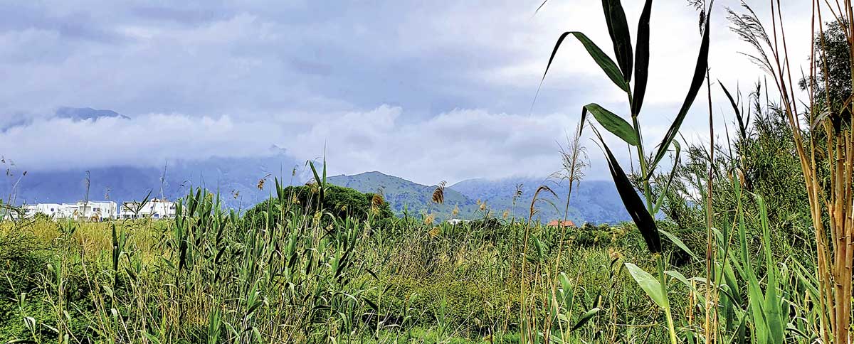 Die Roller reichen auch in den Bergen