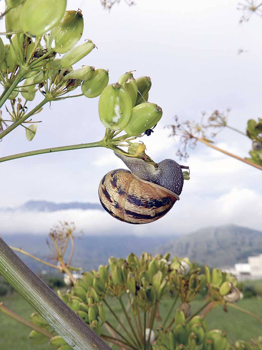 Entdeckung der Langsamkeit