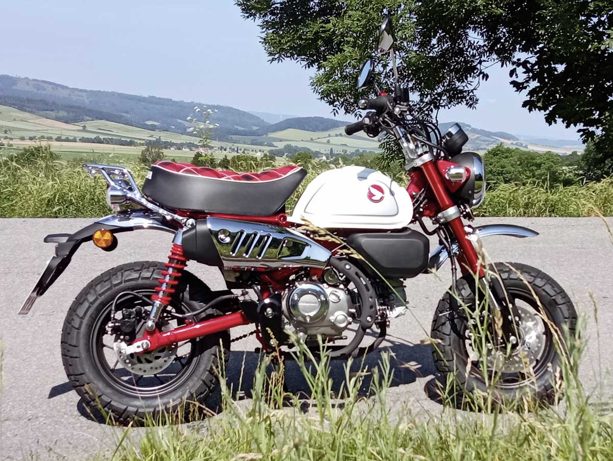 Ist die Monkey nicht knuffig?