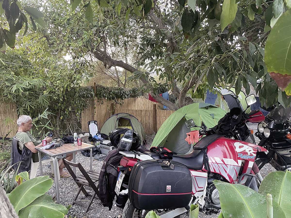 Camping unter Avocadobäumen