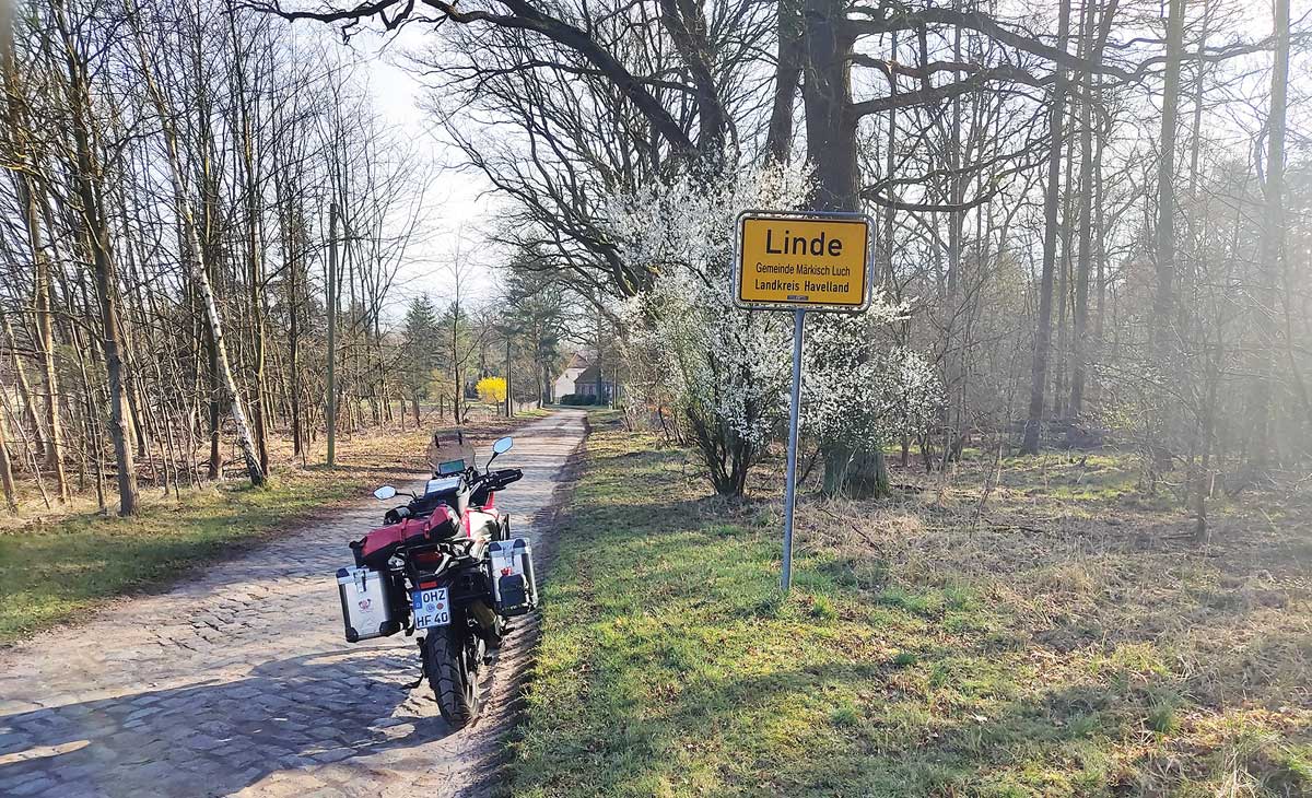 Gefunden: Linde in Brandenburg