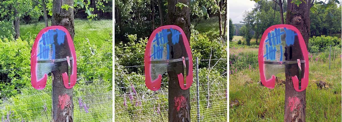 Das Windschild fungiert als Zählwerk - zumindest der gemeldeten Stürze …