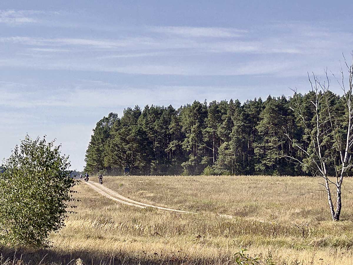 Brandenburg bietet viele legale Feld- & Waldwege