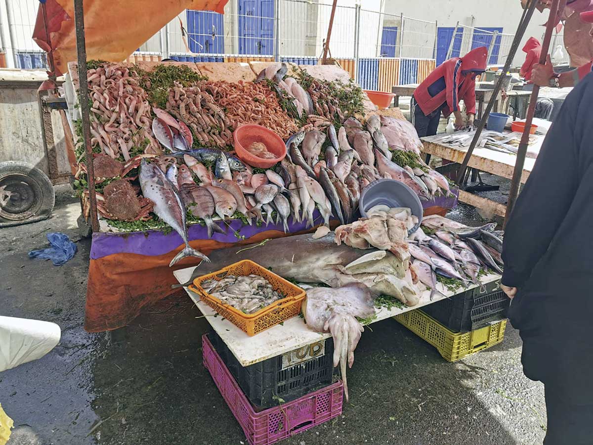 Natürlich gibt’s am Meer frischen Fisch