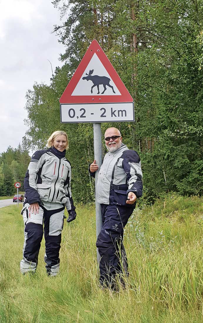 Mit Elchen ist zu rechnen