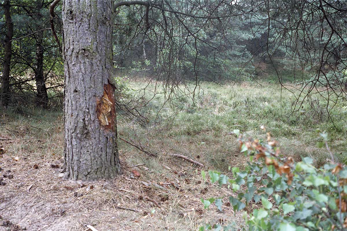 TrpÜbPlz Wildeshausen - diese Erinnerung war lehrreich (und teuer)