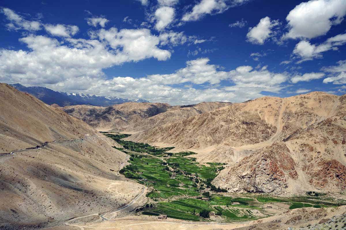 Oase auf dem Weg zum Pangong Lake